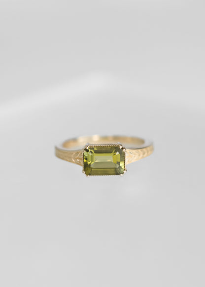 The Sage | 1.56ct Emerald Cut Tourmaline | Yellow Gold
