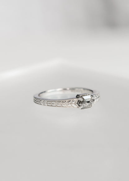 The Sage | .52ct Hexagon Salt & Pepper Diamond | White Gold