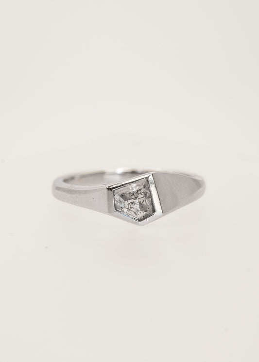 Gender neutral asymmetrical shield cut salt and pepper diamond signet engagement ring in 14K white gold with a full bezel