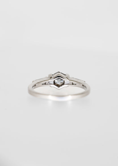 The Wolfe | 1.00ct Hexagon Salt & Pepper Diamond | White Gold