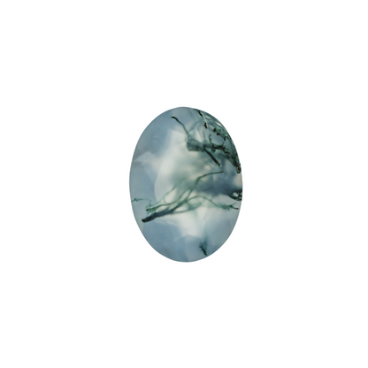 The Nova | 14k | White | Size 4.5 | Stone MOS169 | Green Ring Box | Custom Engraving:  +$0