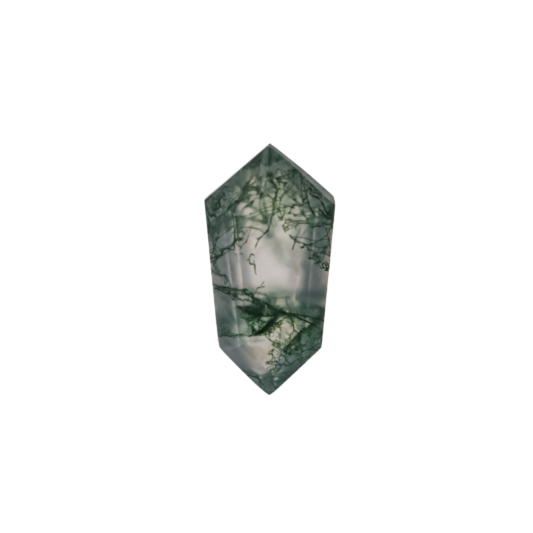 The Lyra | 14k | White | Size 6.75 | Stone MOS239 | Moss Ring Box | Custom Engraving:  +$0