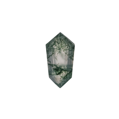 The Lyra | 14k | White | Size 6.75 | Stone MOS239 | Moss Ring Box | Custom Engraving:  +$0