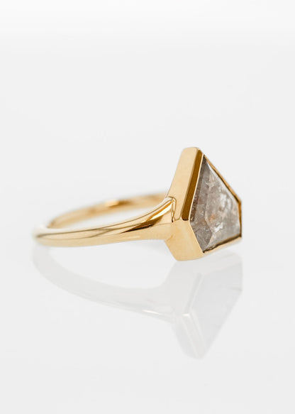 The Leda | 1.95ct Shield Salt and Pepper Diamond | 18k Yellow Gold