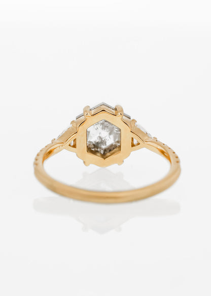 Accented Solitaire | 1.81ct Hexagon Salt and Pepper Diamond | 18k Yellow Gold