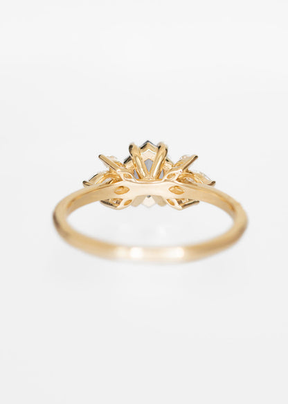 The Mini Luna | 1.12ct Hexagon Sapphire | Yellow Gold