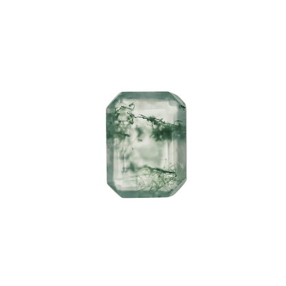 The Sage | 14k | Yellow | Size 6 | Stone MOS94 | Moss Ring Box | Custom Engraving:  +$0