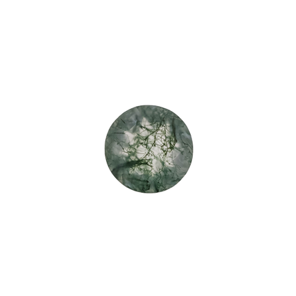 The Wolfe | 14k | White | Size 9.25 | Stone MOS251 | Moss Ring Box | Custom Engraving:  +$0