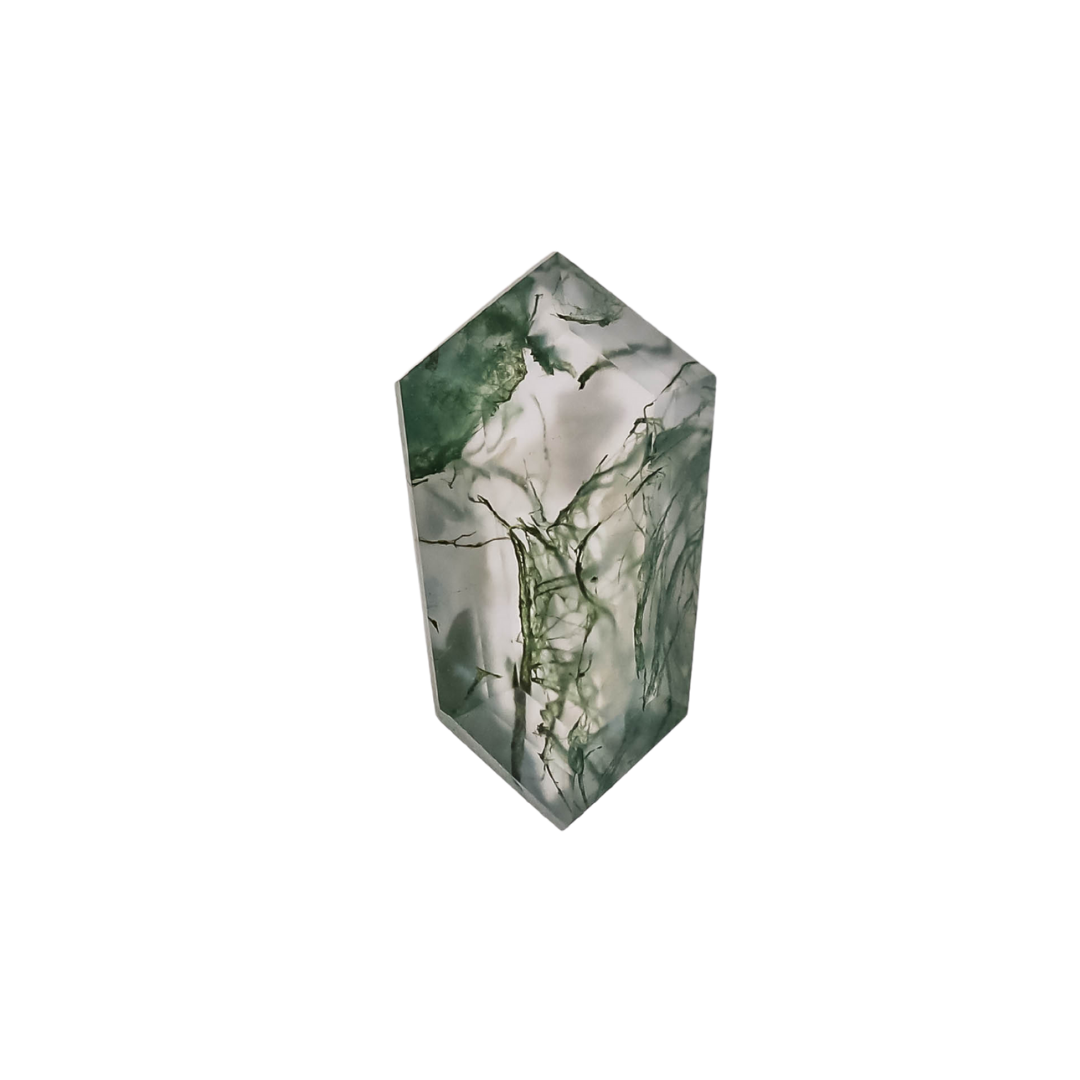 The Lyra | 14k | White | Size 9.25 | Stone MOS236 | Green Ring Box | Custom Engraving:  +$0