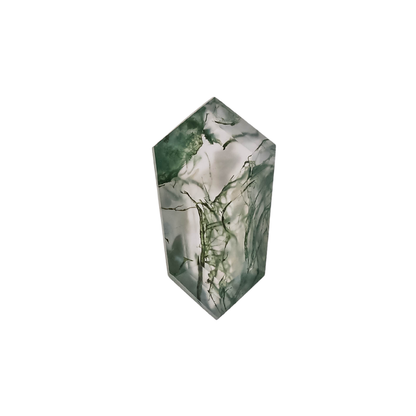 The Lyra | 14k | White | Size 9.5 | Stone MOS236 | Green Ring Box | Custom Engraving:  +$0