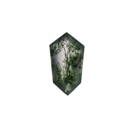 The Lyra | 14k | White | Size 9.5 | Stone MOS232 | Green Ring Box | Custom Engraving:  +$0