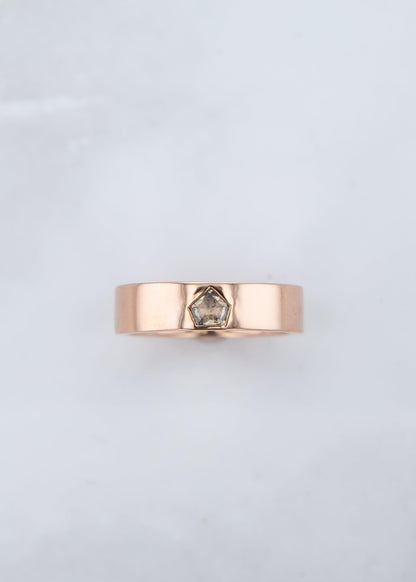 The Atlas Setting - VENVS